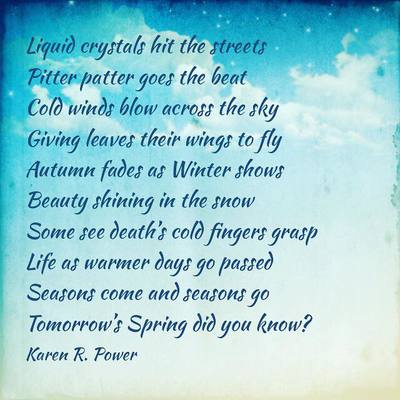 Karen R. Power, writing